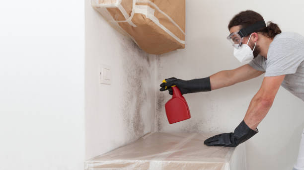 Professional Crawl Space Mold Remediation technician working in Hampton, IL