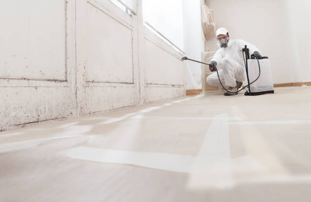 24/7 Emergency Crawl Space Mold Remediation experts in Hampton, IL